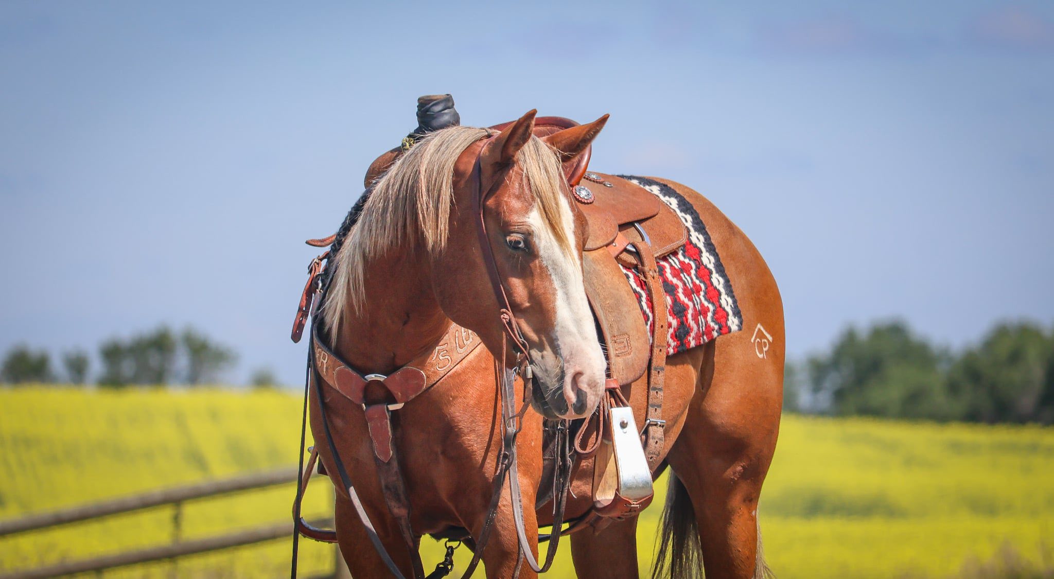 Lil Dualler - Image 3