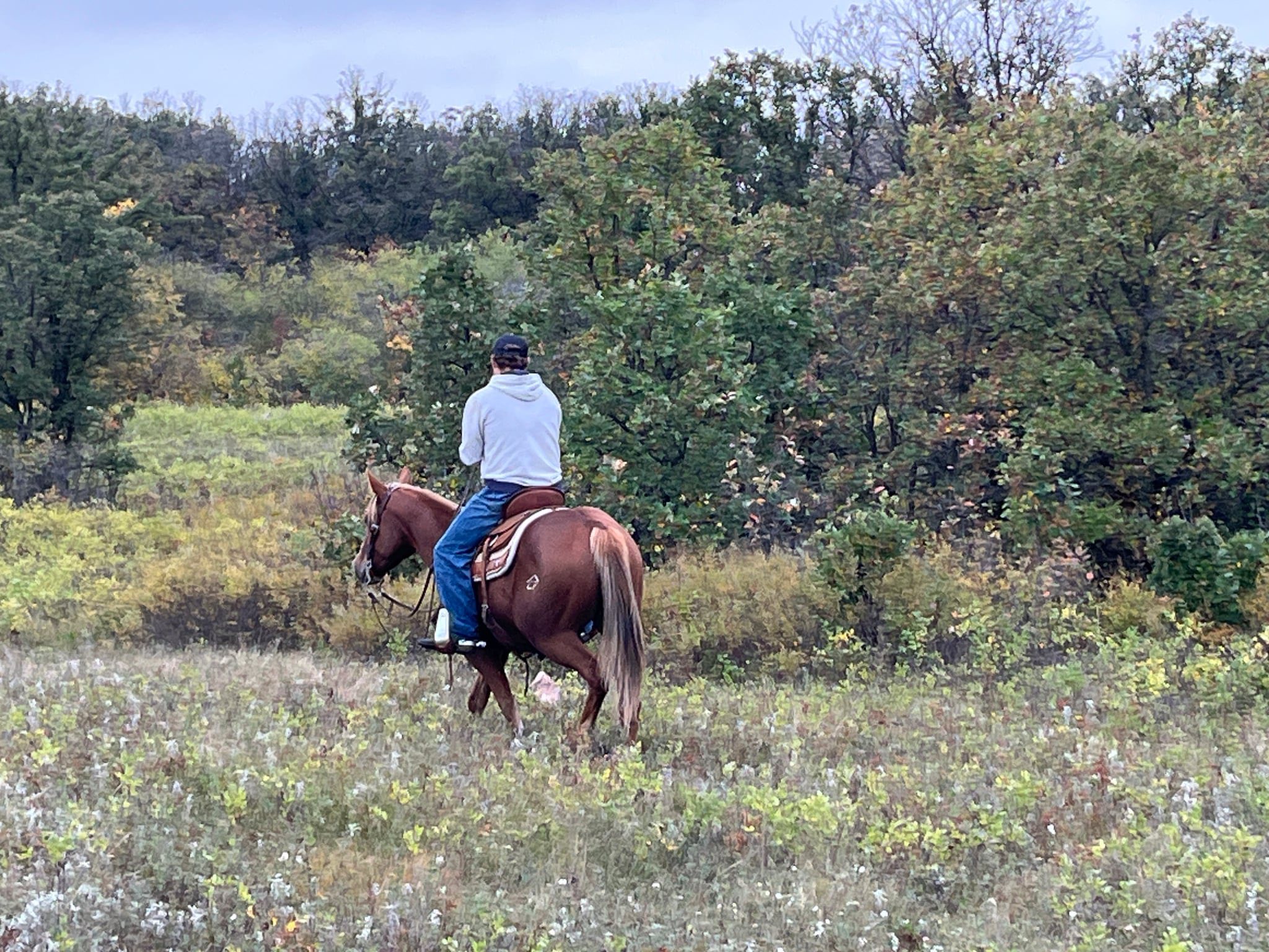 Lil Dualler - Image 6